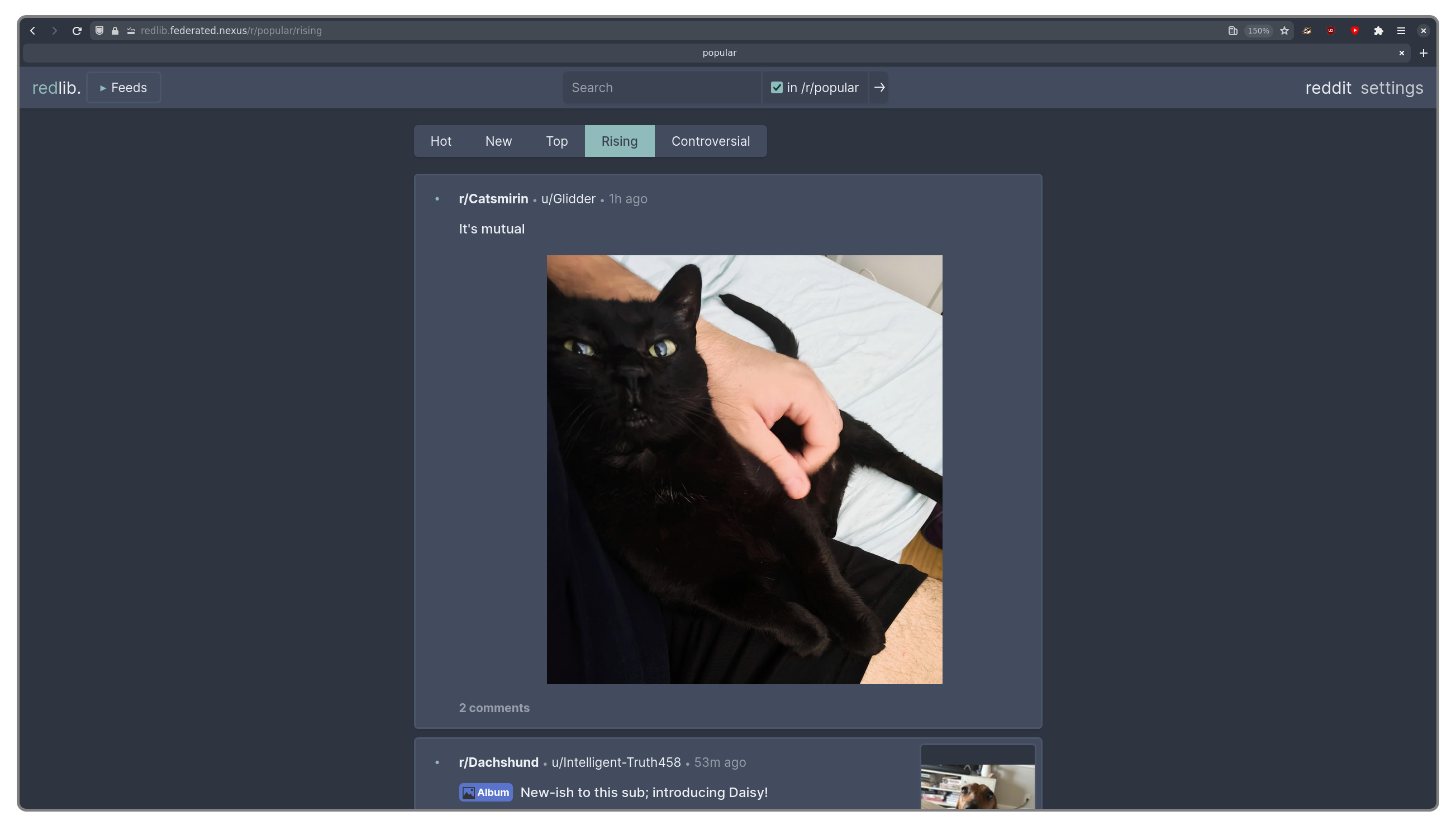 Redlib post view, showing comments in a lightweight and readable format